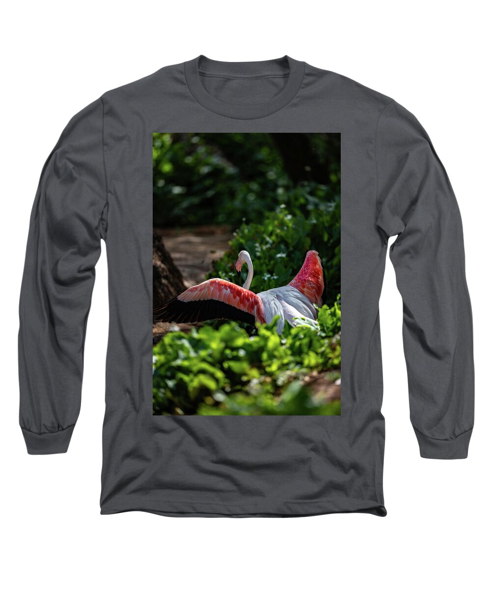 Reverse Fly Flamingo - Long Sleeve T-Shirt