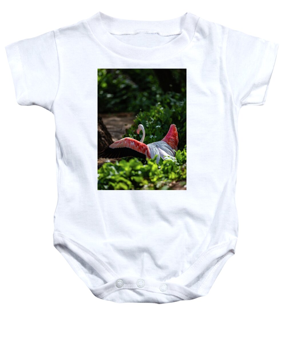 Reverse Fly Flamingo - Baby Onesie