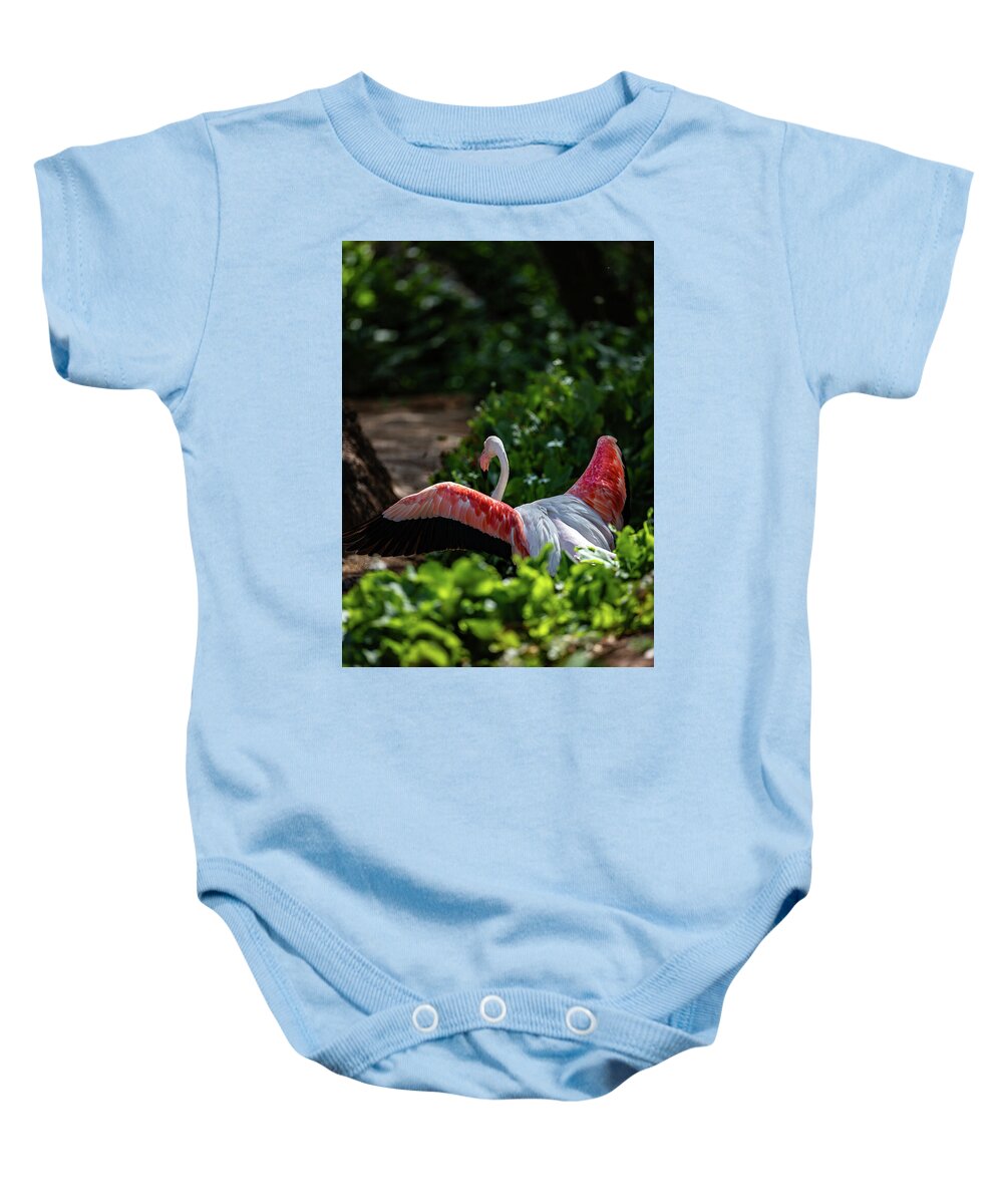 Reverse Fly Flamingo - Baby Onesie