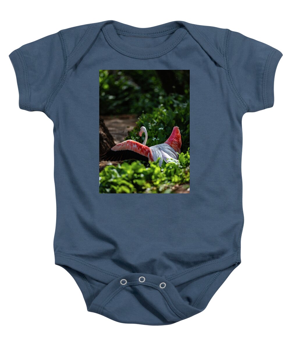 Reverse Fly Flamingo - Baby Onesie