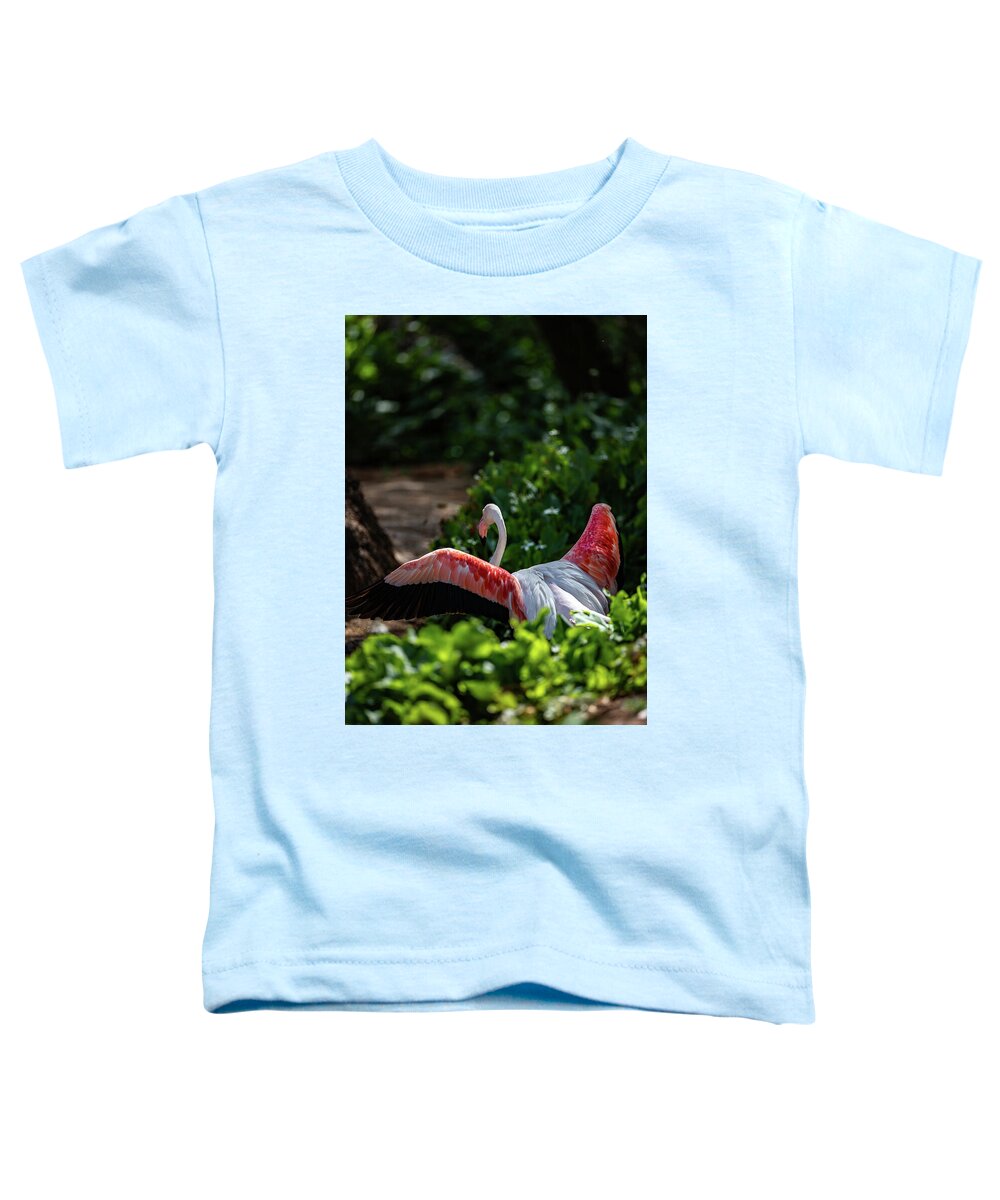 Reverse Fly Flamingo - Toddler T-Shirt