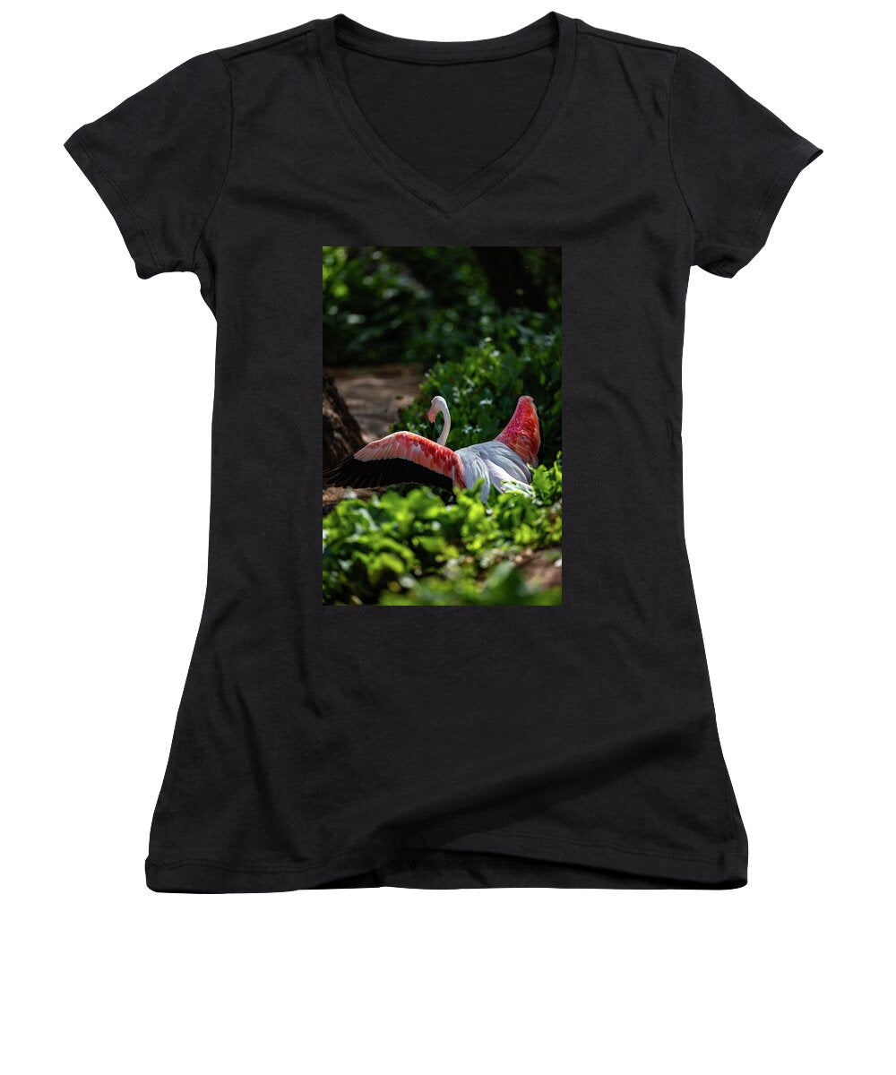 Reverse Fly Flamingo - Women's V-Neck