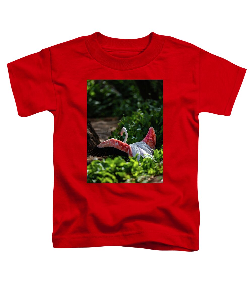 Reverse Fly Flamingo - Toddler T-Shirt