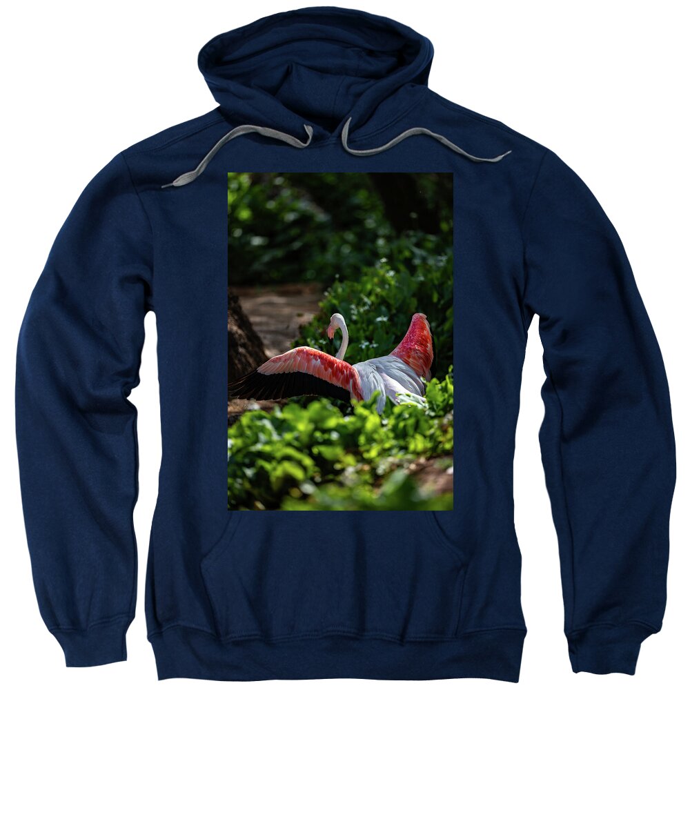 Reverse Fly Flamingo - Sweatshirt
