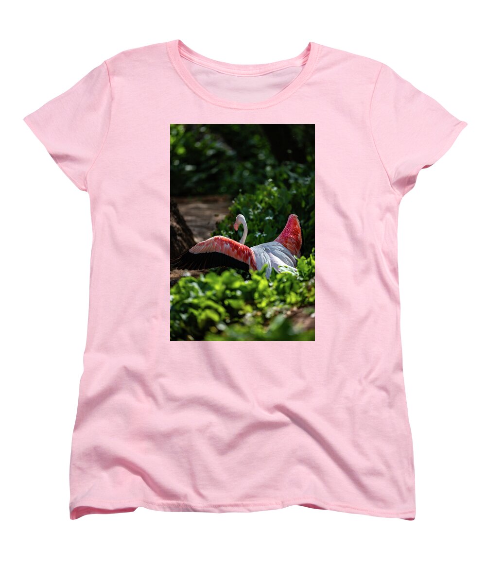 Reverse Fly Flamingo - Women's T-Shirt (Standard Fit)