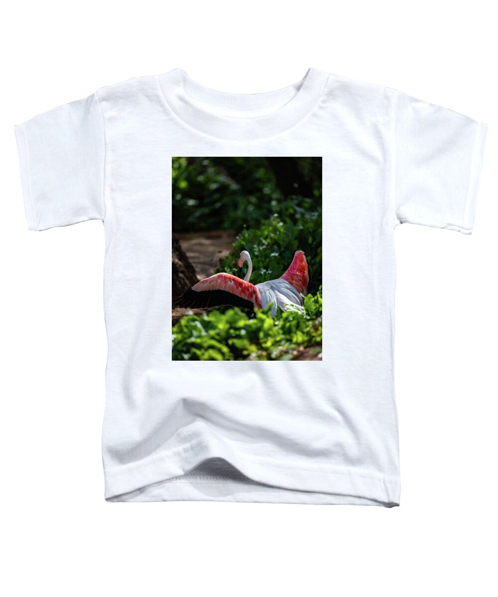 Reverse Fly Flamingo - Toddler T-Shirt