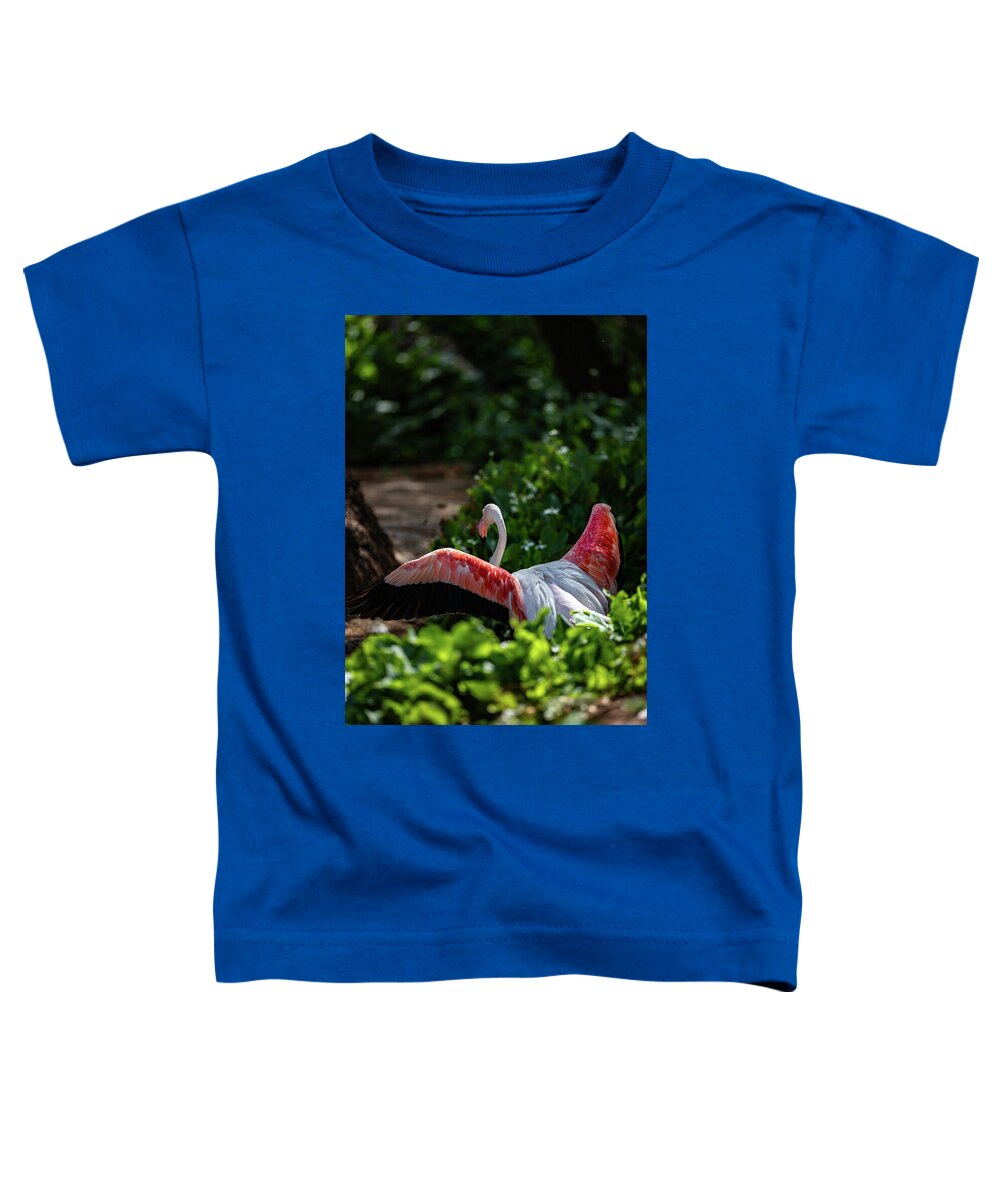 Reverse Fly Flamingo - Toddler T-Shirt
