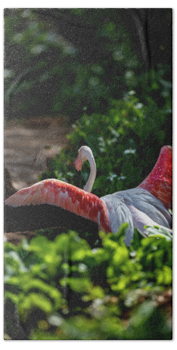 Reverse Fly Flamingo - Beach Towel