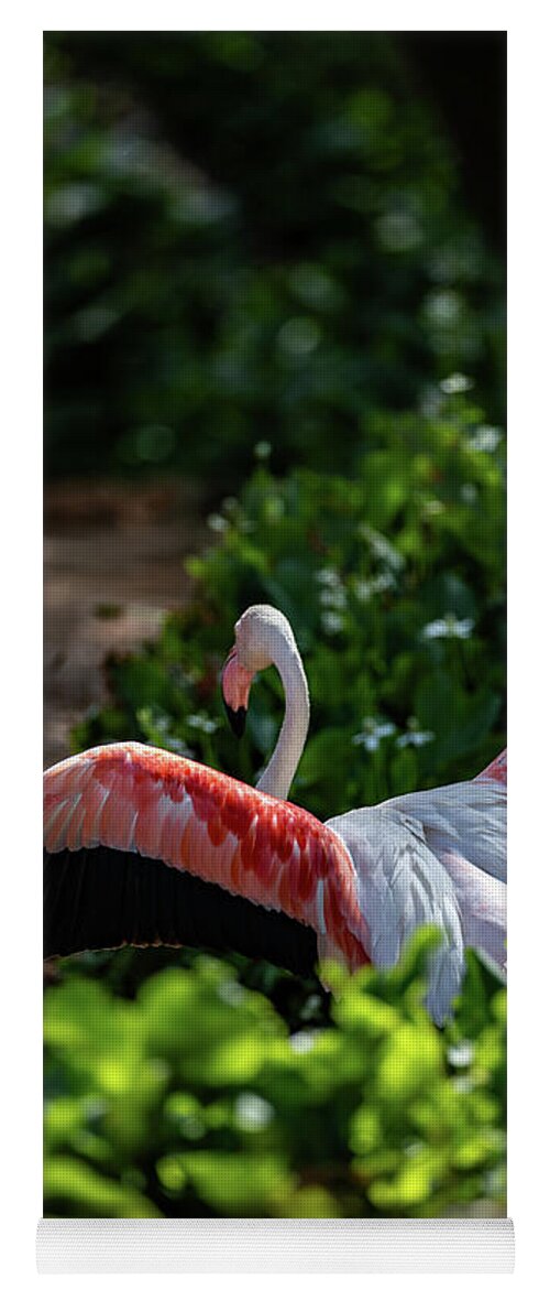Reverse Fly Flamingo - Yoga Mat