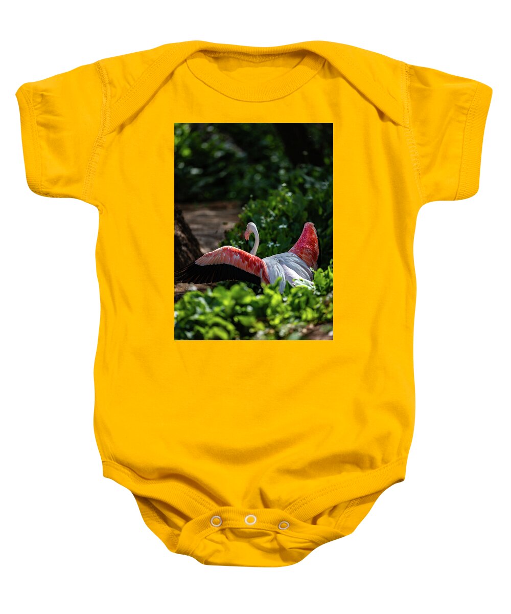 Reverse Fly Flamingo - Baby Onesie