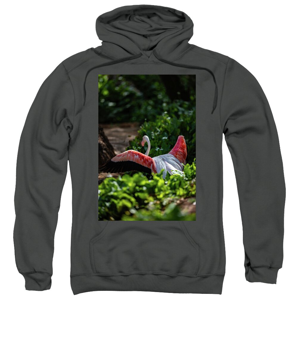 Reverse Fly Flamingo - Sweatshirt