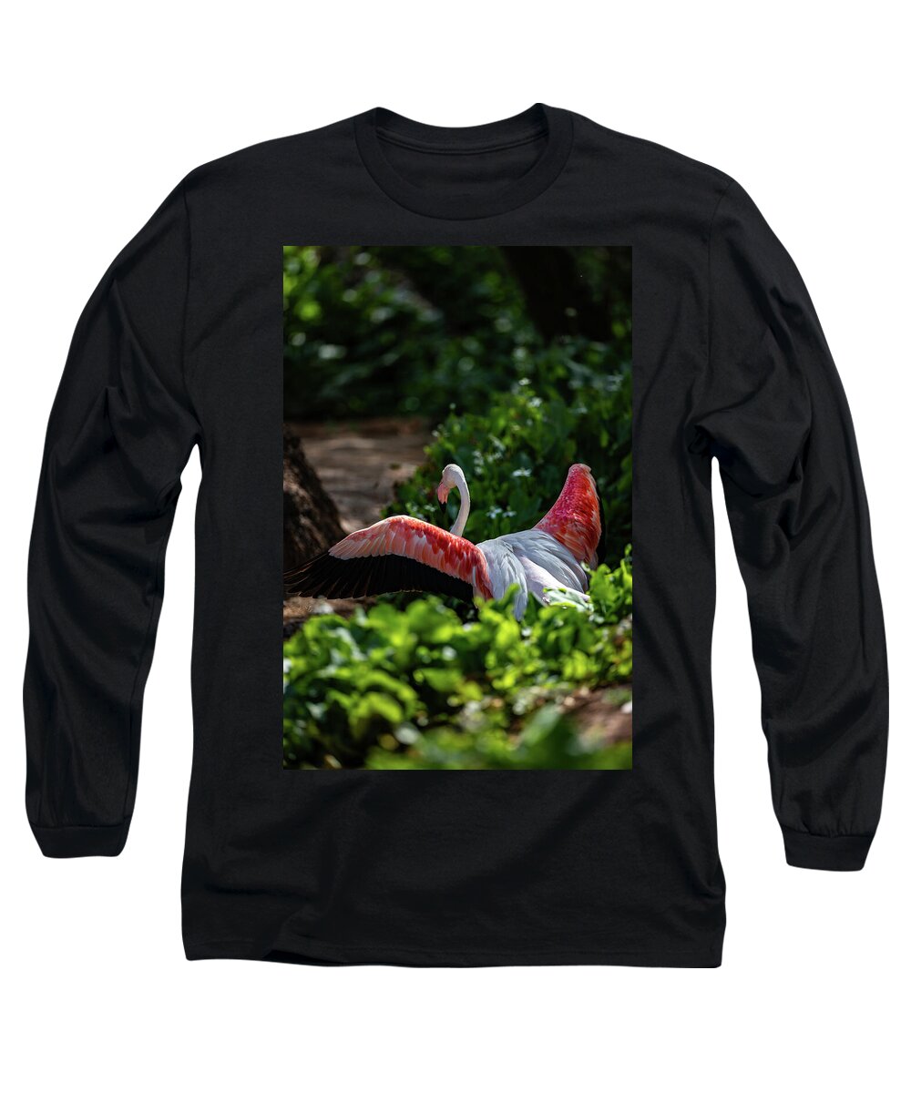 Reverse Fly Flamingo - Long Sleeve T-Shirt
