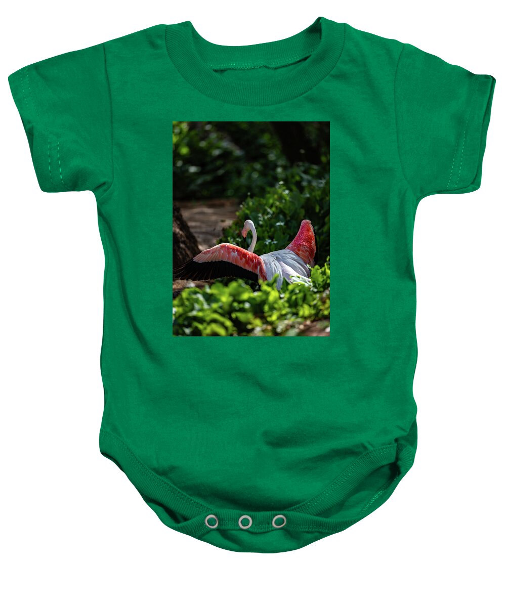 Reverse Fly Flamingo - Baby Onesie
