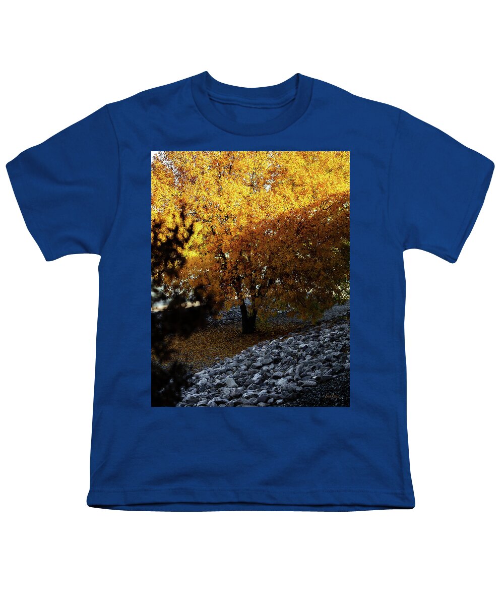 December in Arizona - Youth T-Shirt