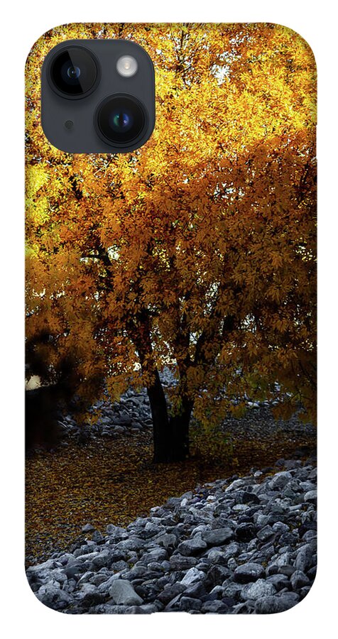 December in Arizona - Phone Case