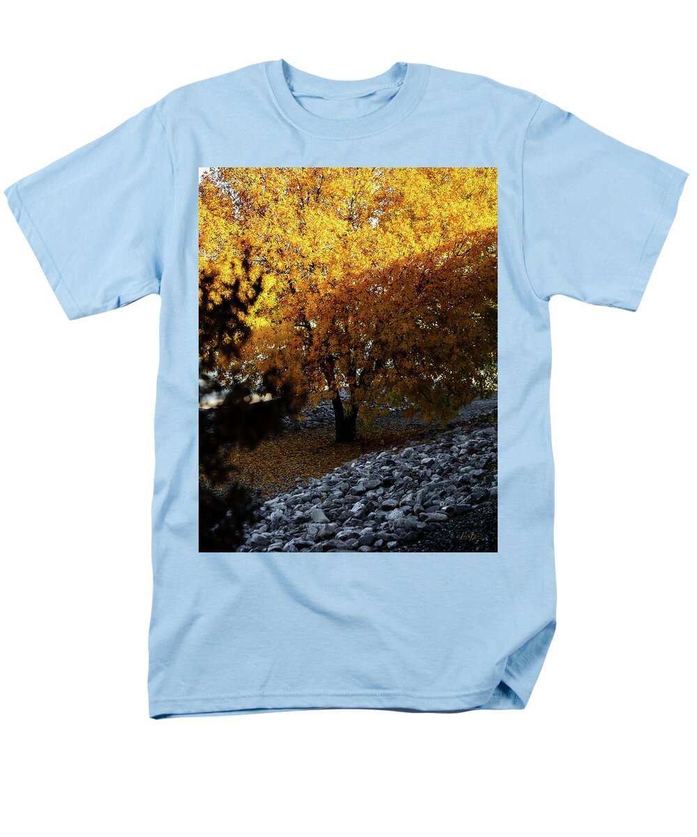 December in Arizona - Men's T-Shirt  (Regular Fit)