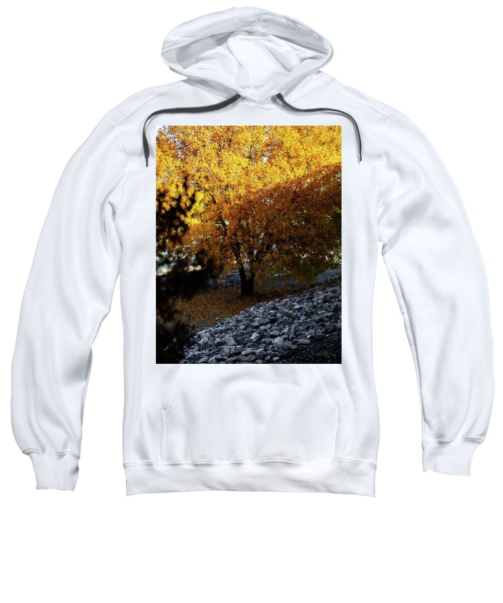 December in Arizona - Sweatshirt