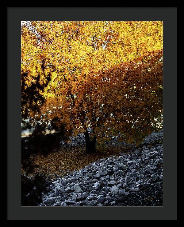 December in Arizona - Framed Print