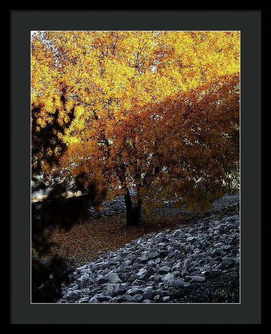December in Arizona - Framed Print