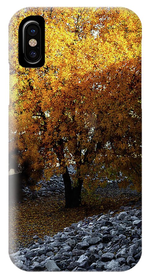 December in Arizona - Phone Case