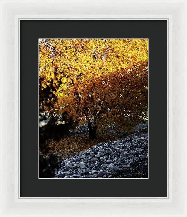 December in Arizona - Framed Print