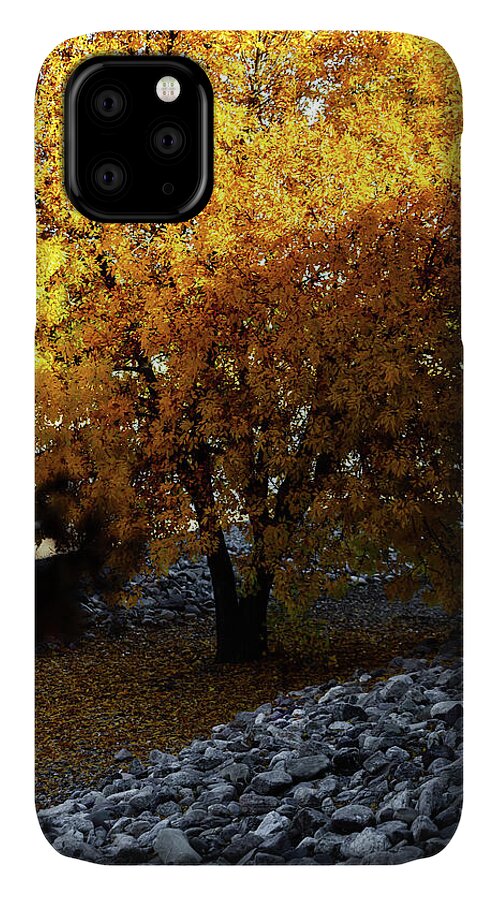 December in Arizona - Phone Case