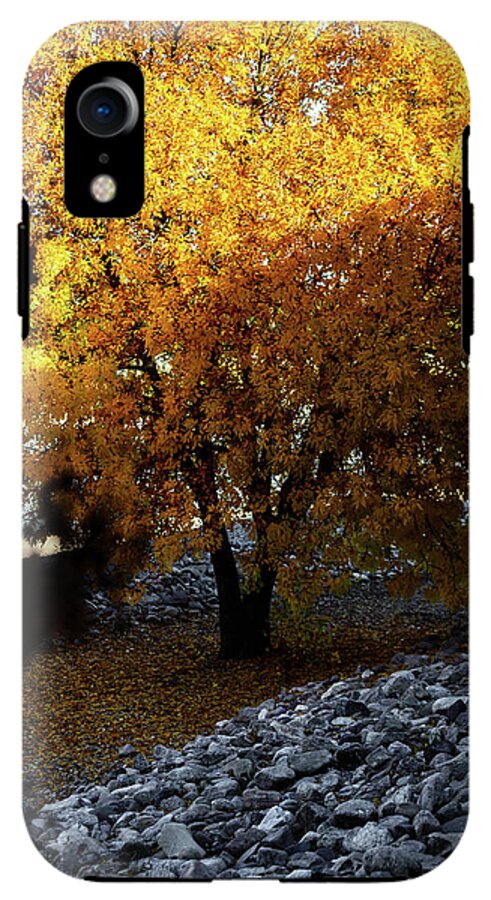 December in Arizona - Phone Case