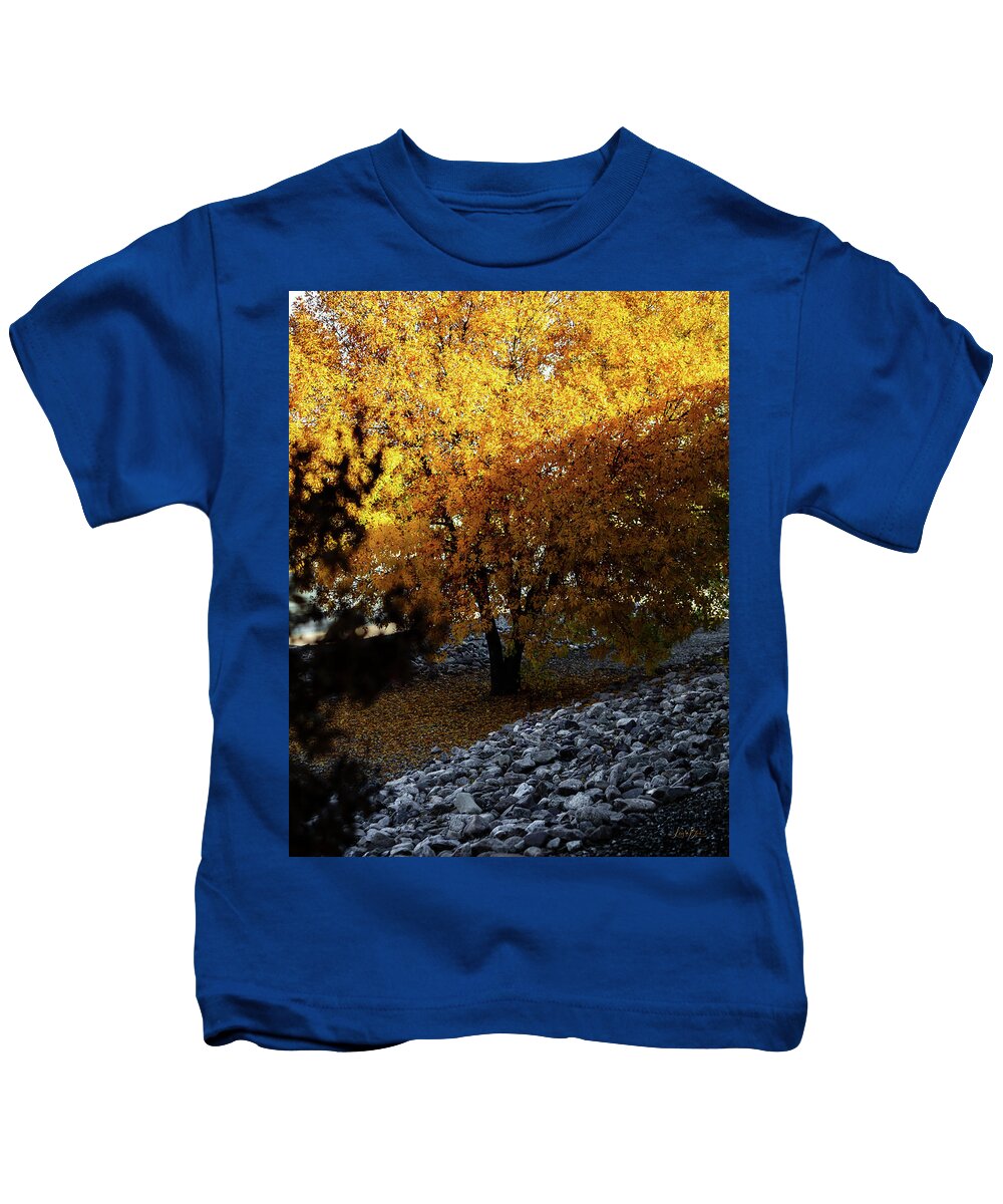 December in Arizona - Kids T-Shirt