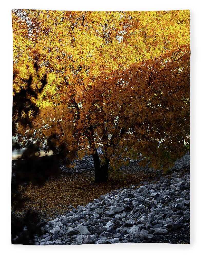 December in Arizona - Blanket