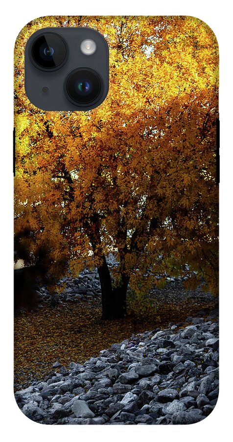 December in Arizona - Phone Case