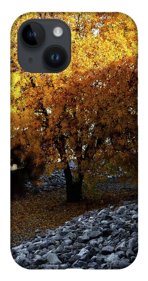 December in Arizona - Phone Case