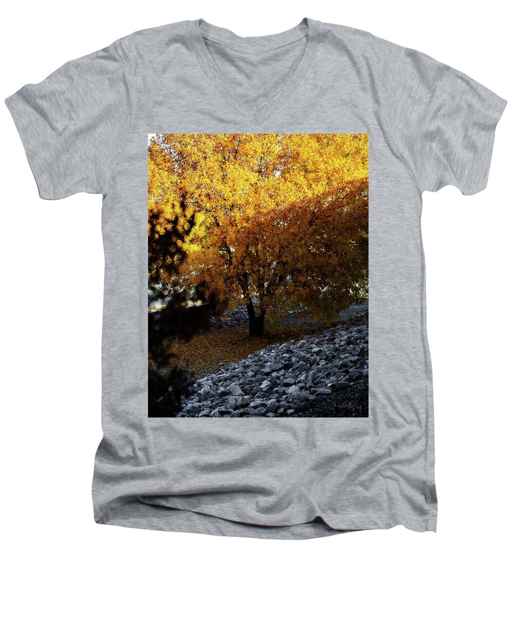 December in Arizona - Men's V-Neck T-Shirt