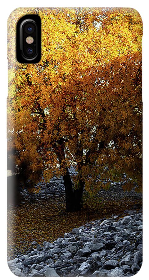 December in Arizona - Phone Case