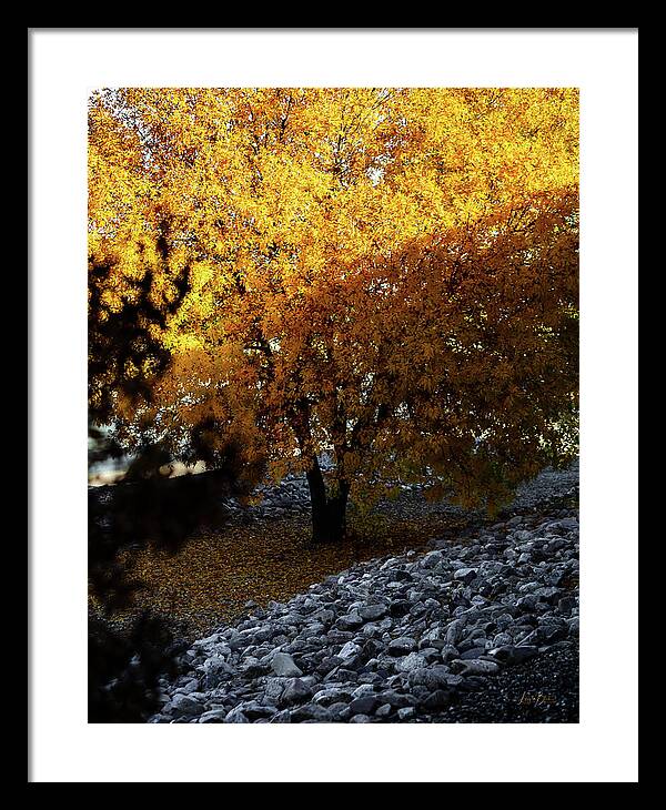 December in Arizona - Framed Print