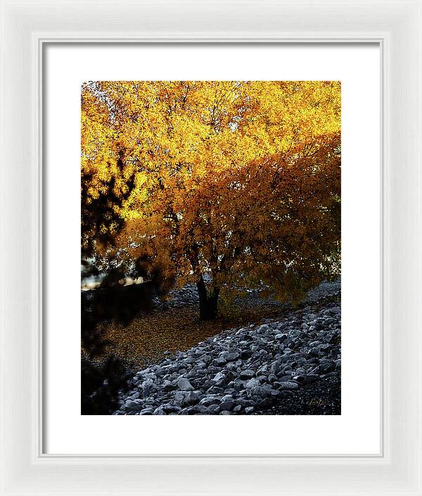December in Arizona - Framed Print
