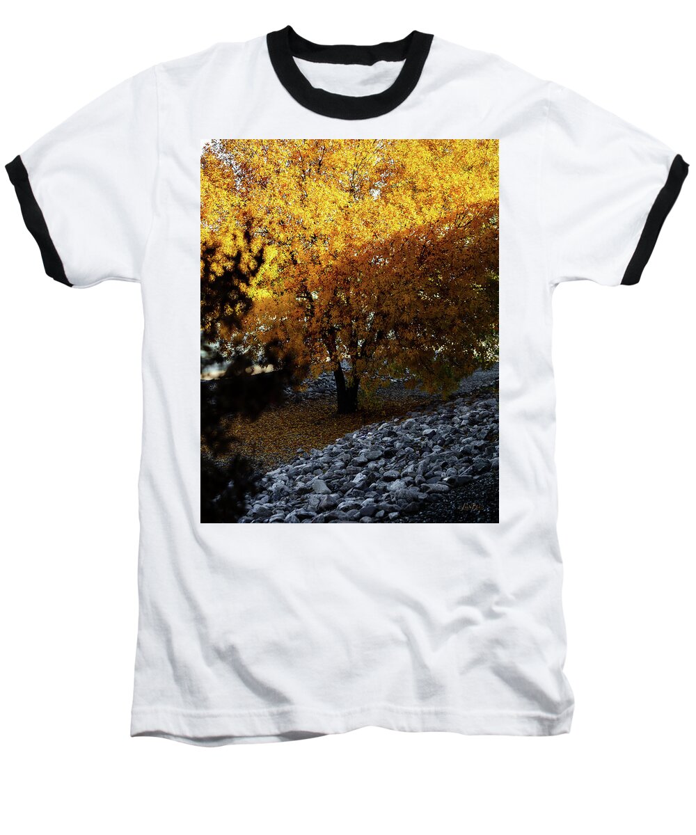 December in Arizona - Baseball T-Shirt