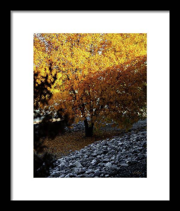 December in Arizona - Framed Print