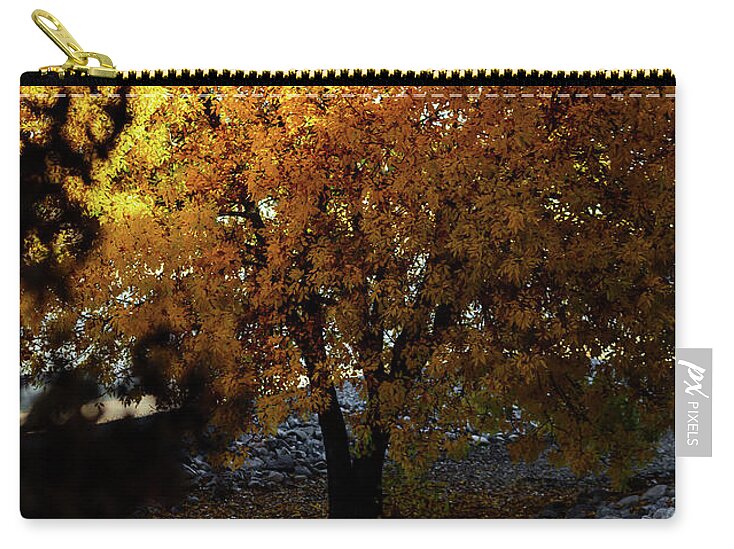 December in Arizona - Zip Pouch