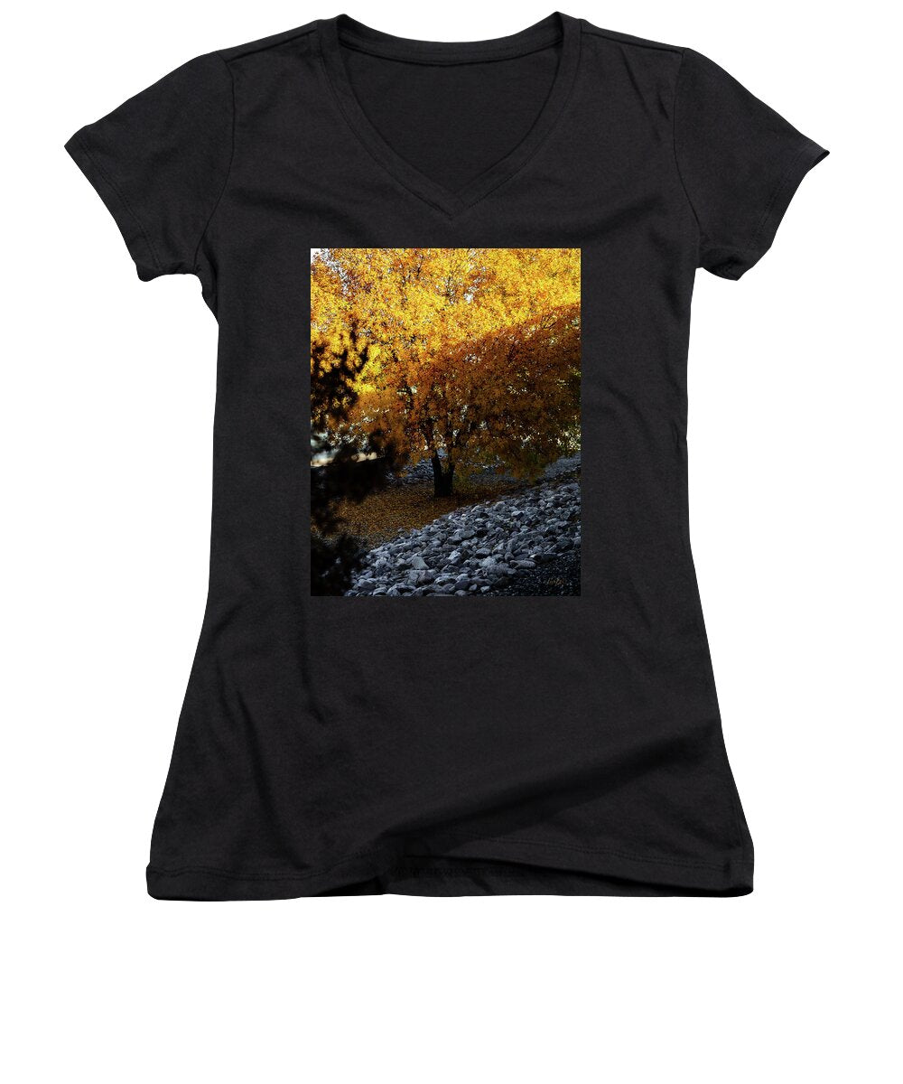 December in Arizona - Women's V-Neck