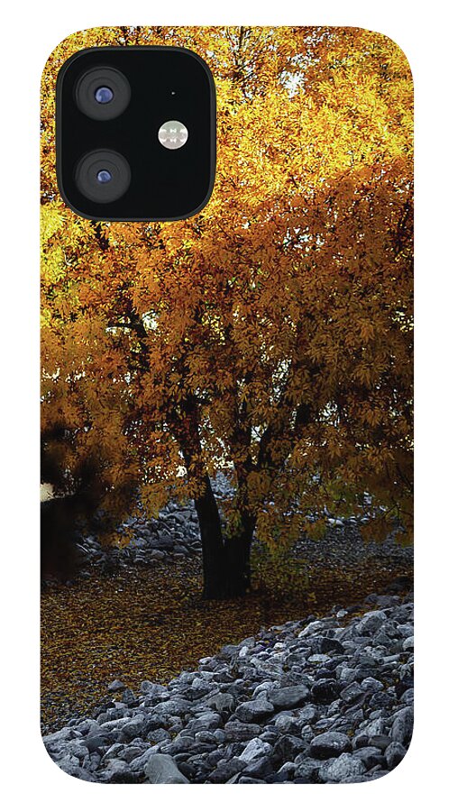 December in Arizona - Phone Case