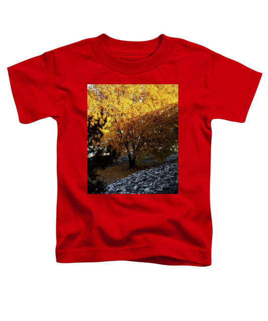 December in Arizona - Toddler T-Shirt