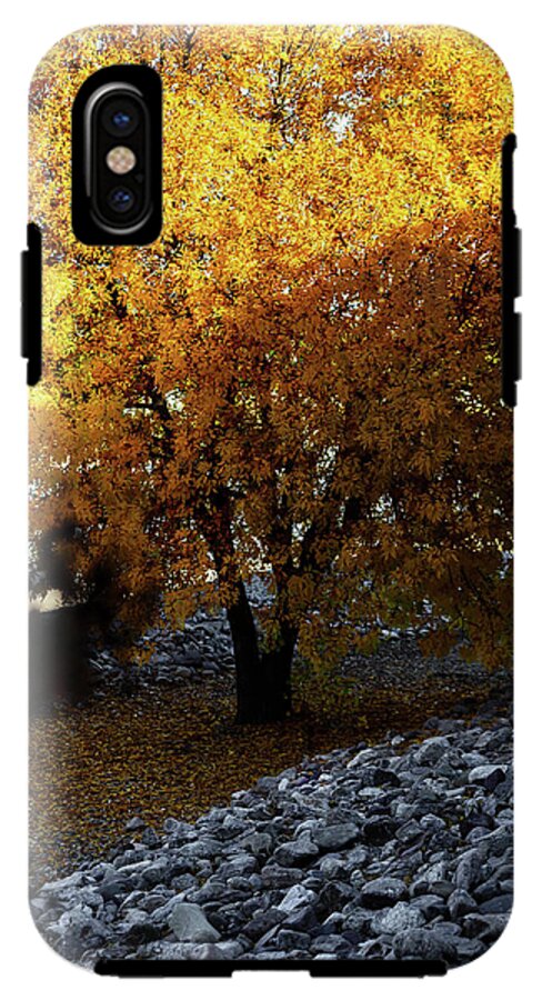 December in Arizona - Phone Case