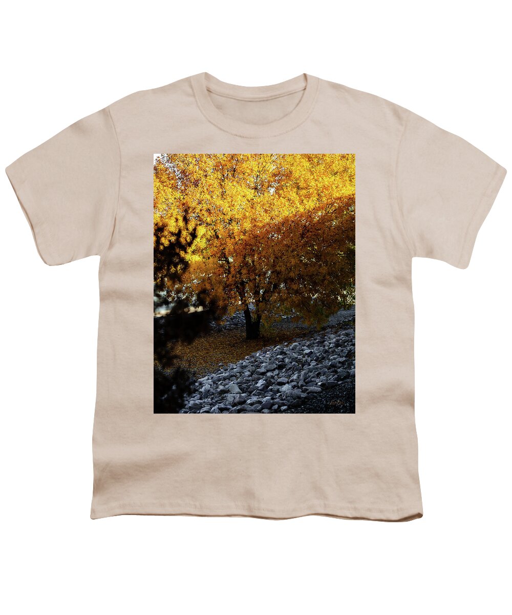 December in Arizona - Youth T-Shirt
