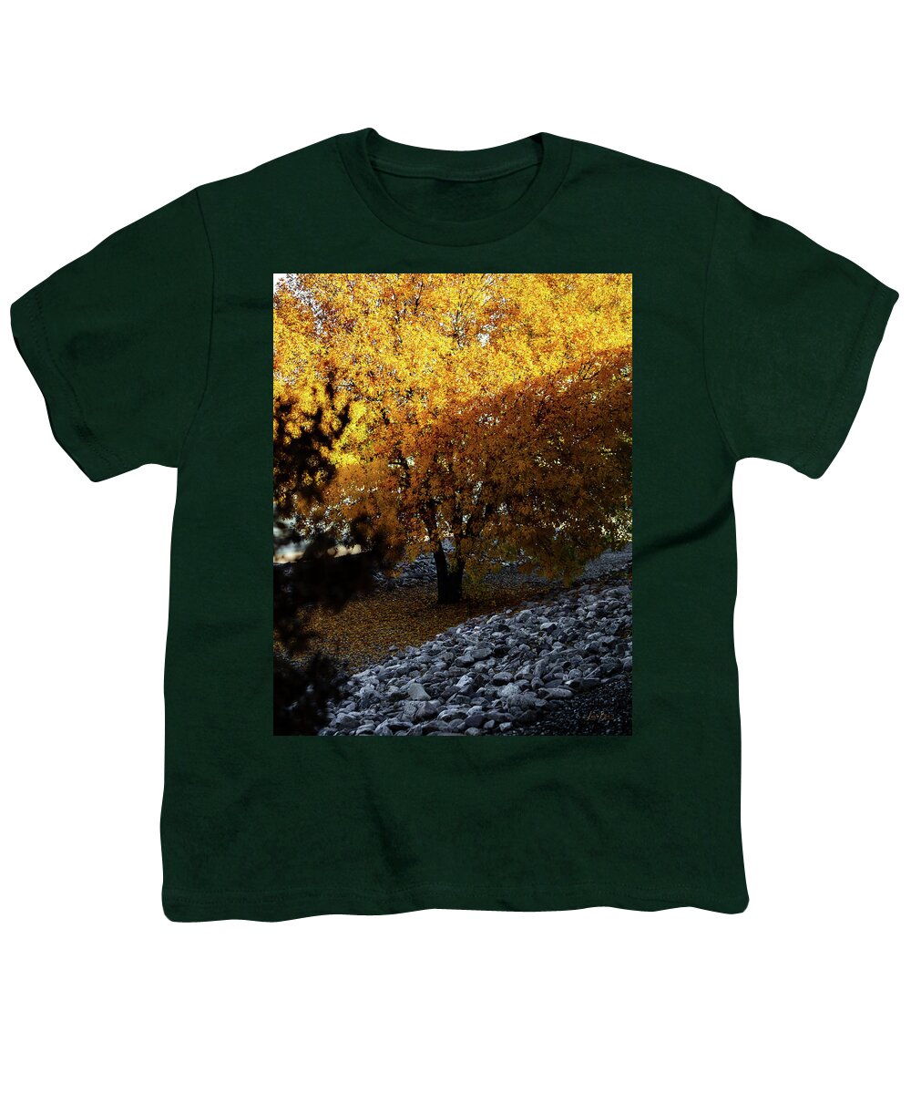 December in Arizona - Youth T-Shirt