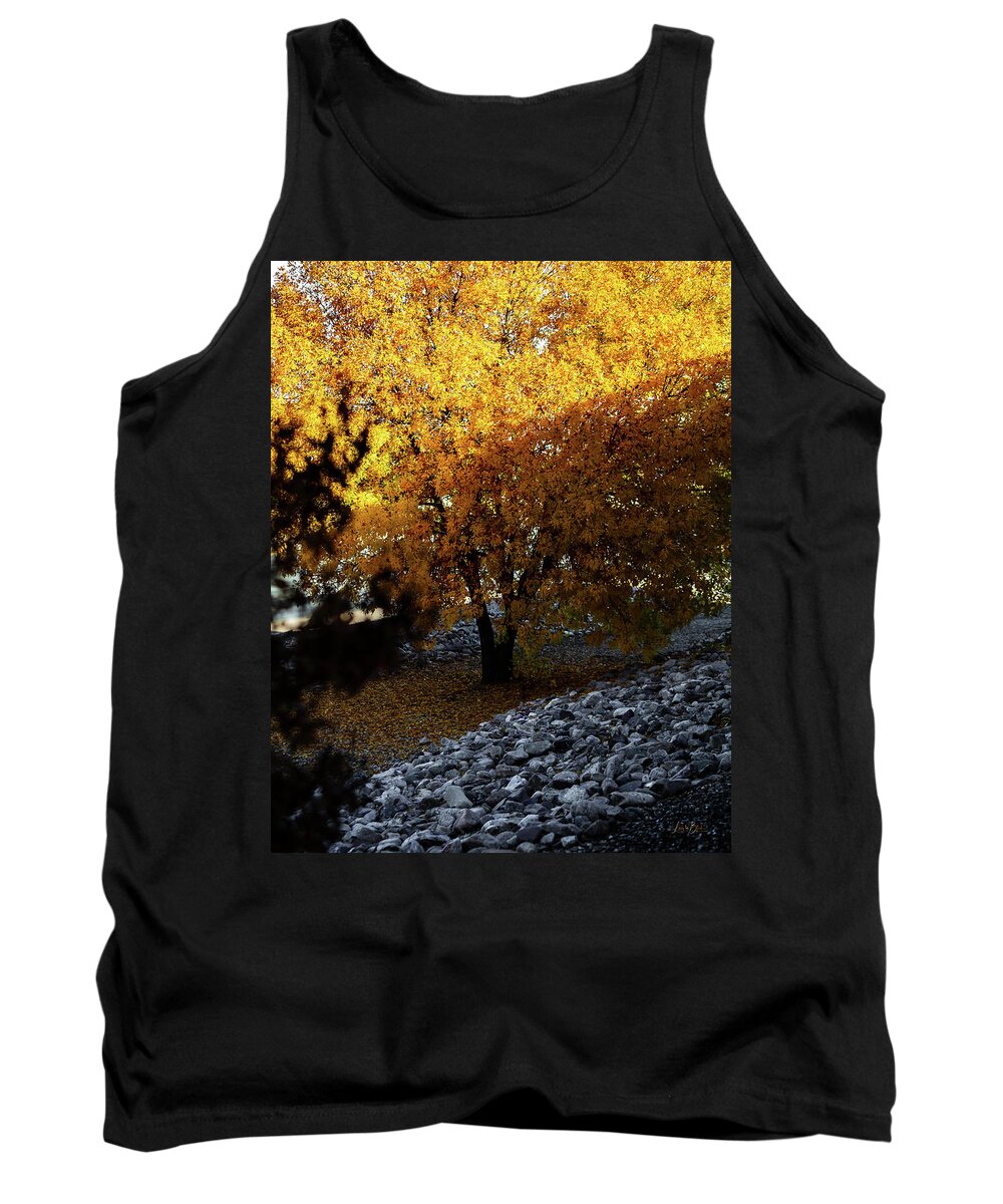December in Arizona - Tank Top