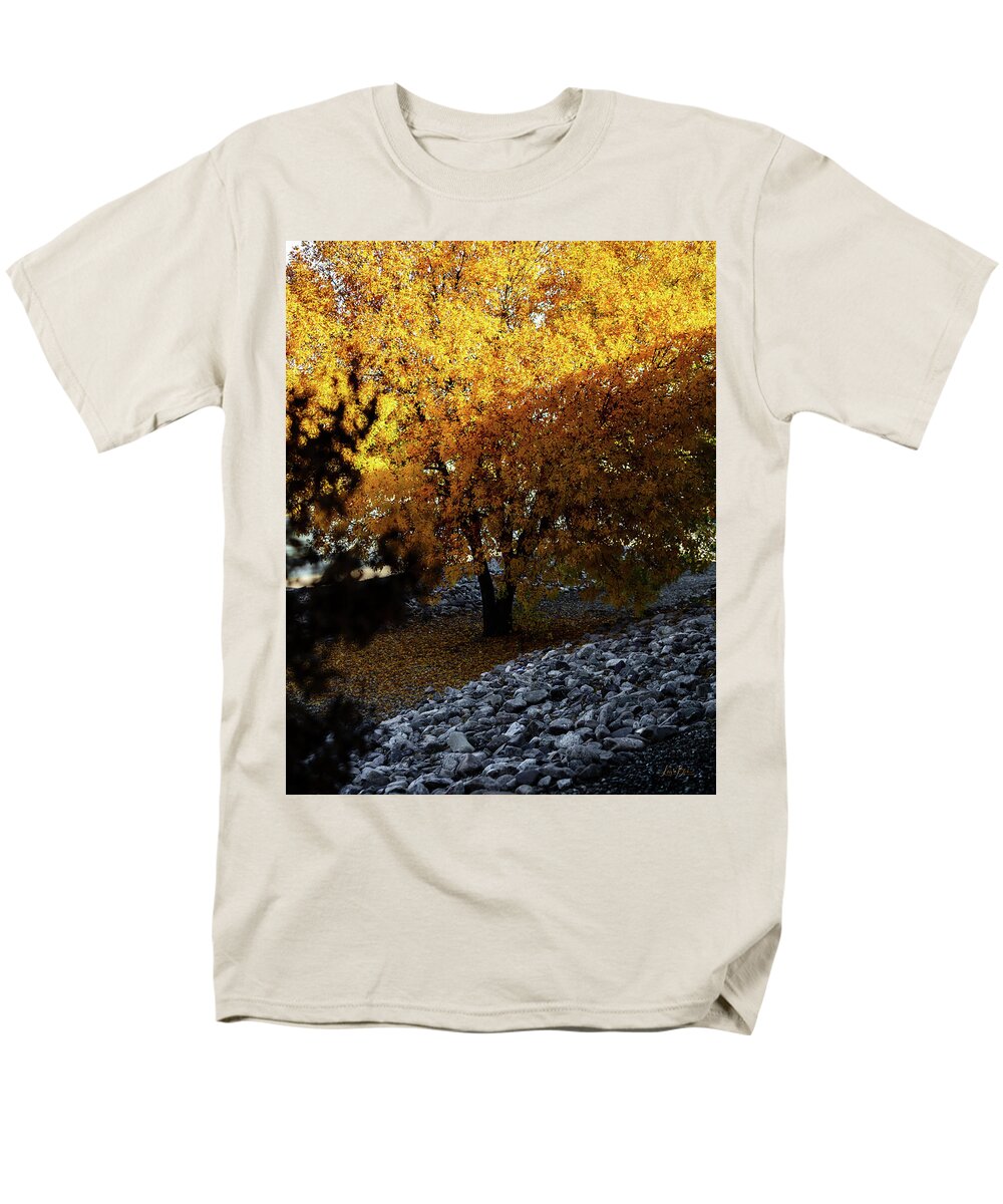 December in Arizona - Men's T-Shirt  (Regular Fit)