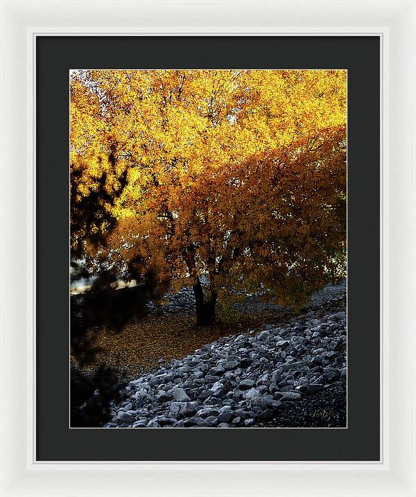 December in Arizona - Framed Print