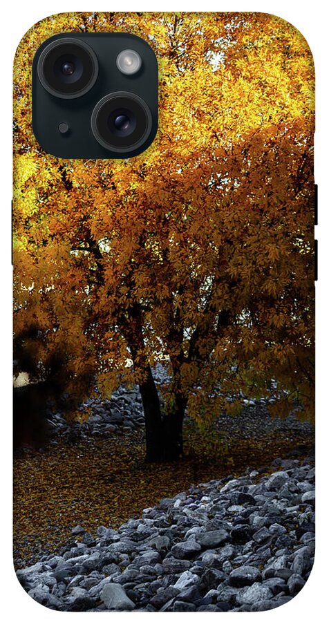 December in Arizona - Phone Case