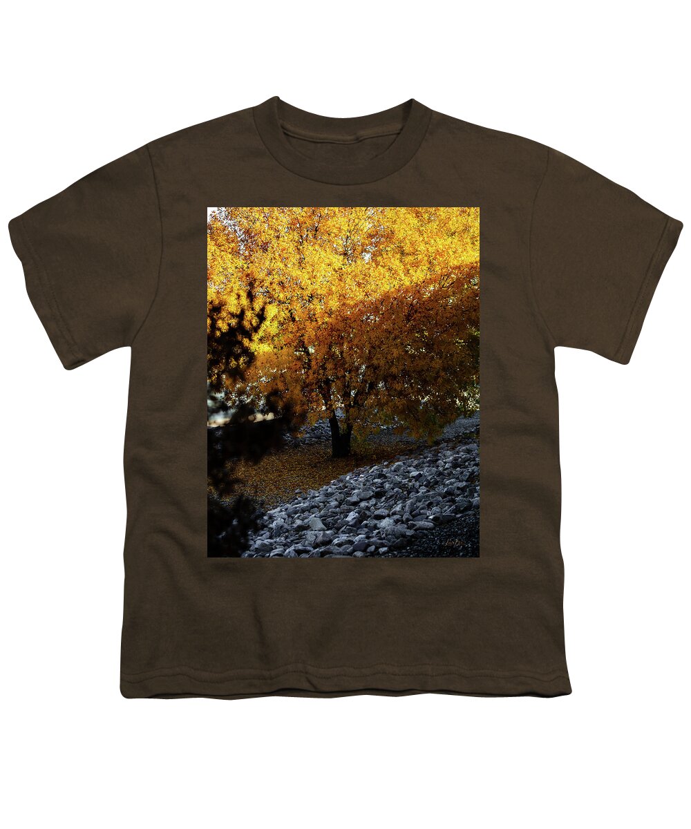 December in Arizona - Youth T-Shirt