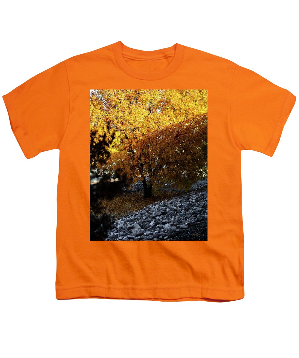 December in Arizona - Youth T-Shirt